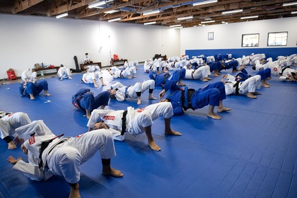 Why Gracie Barra New Mexico Is the best martial arts choice in Albuquerque, NM | Phone: +1 505-515-4341